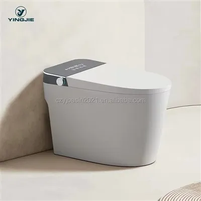WC intelligent in ceramica OEM per el bagn
